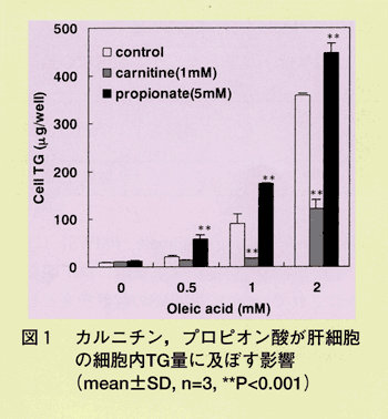 図1 カルニチン、プロピオン酸が肝細胞の細胞内TG量に及ぼす影響