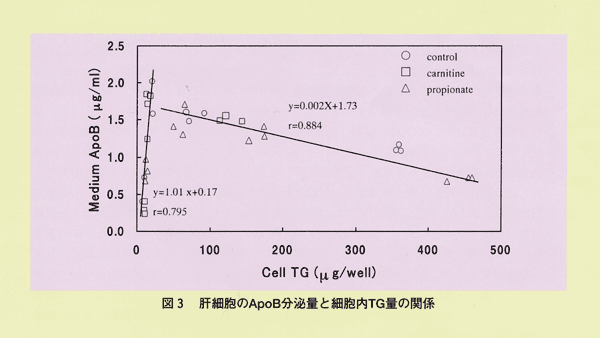 図3 肝細胞のApoB分泌量と細胞内TG量の関係