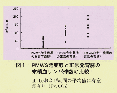 図1 PMWS発症豚と正常発育豚の末梢血リンパ球数の比較