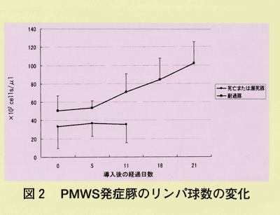 図2 PMWS発症豚のリンパ球数の変化