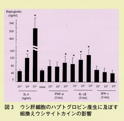 図3 ウシ肝細胞のハプトグロビン産生に及ぼす組換えウシサイトカインの影響