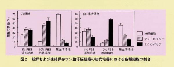 図2 新鮮および凍結保存ウシ胎仔脳組織の初代培養における各種細胞の割合