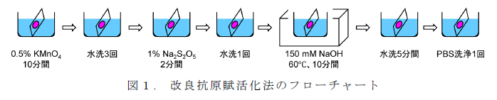 図1.改良抗原賦活化法のフローチャート