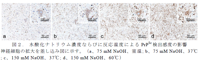 図2.水酸化ナトリウム濃度ならびに反応温度によるPrPSc 検出感度の影響