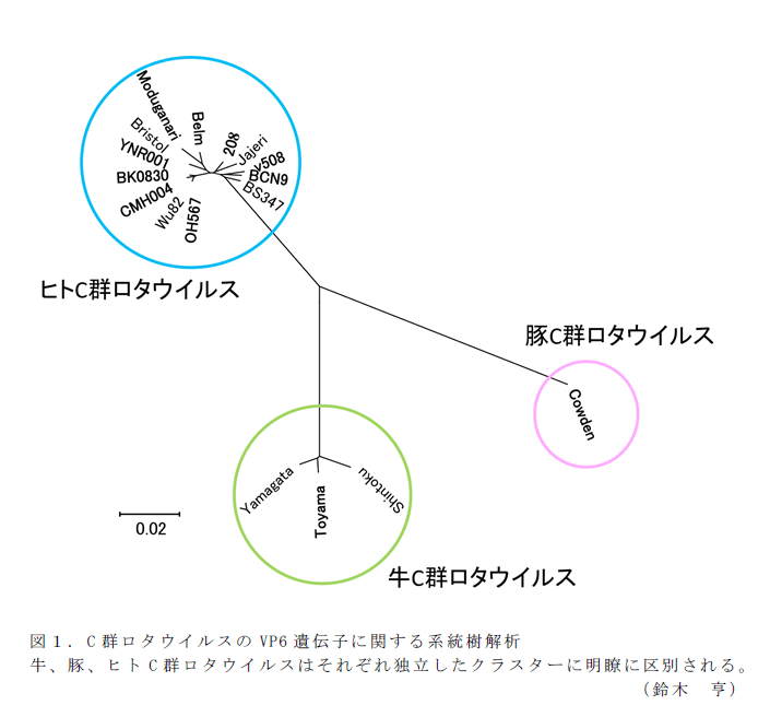 図1