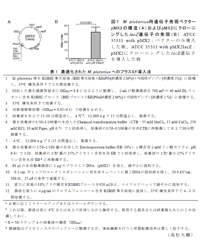 図1,表1