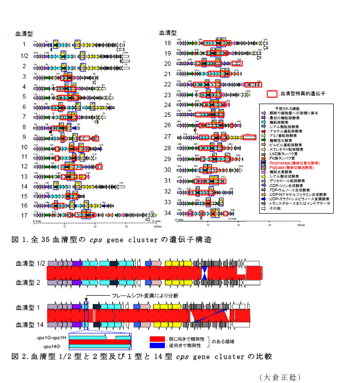 図1～2