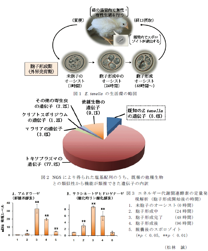 図1～3