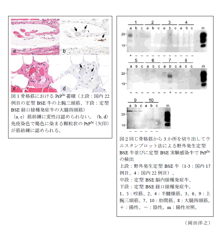 図1～2