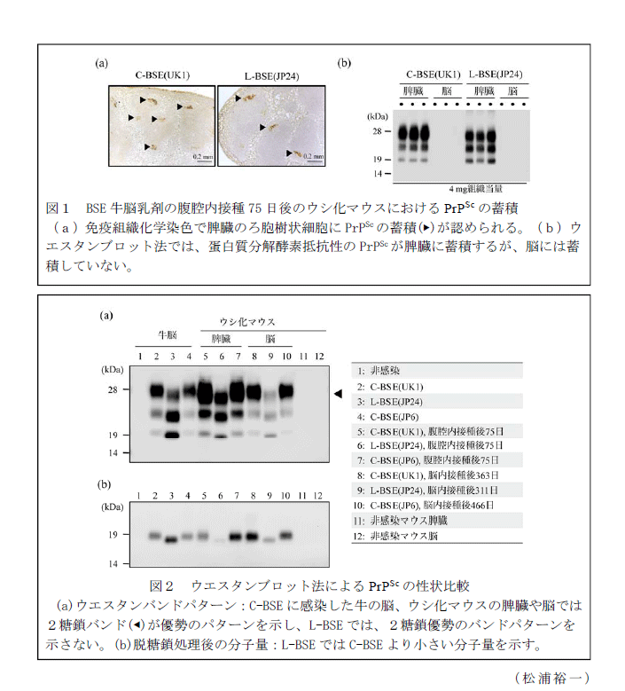 図1～2