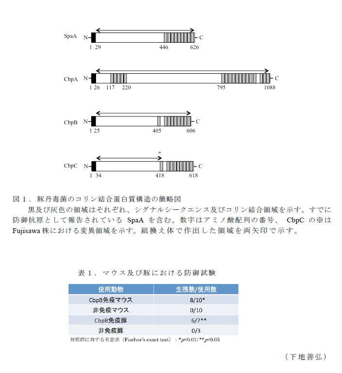 図1,表1