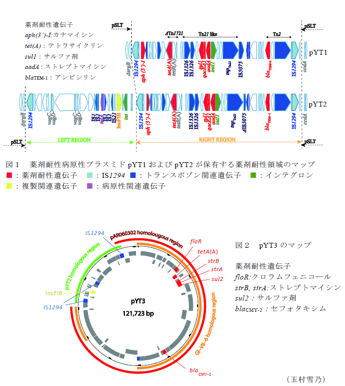 図1～2