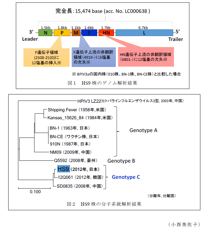 図1～2