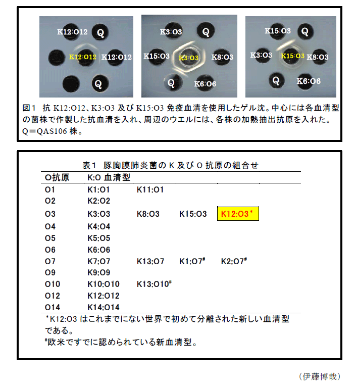 図1,表1