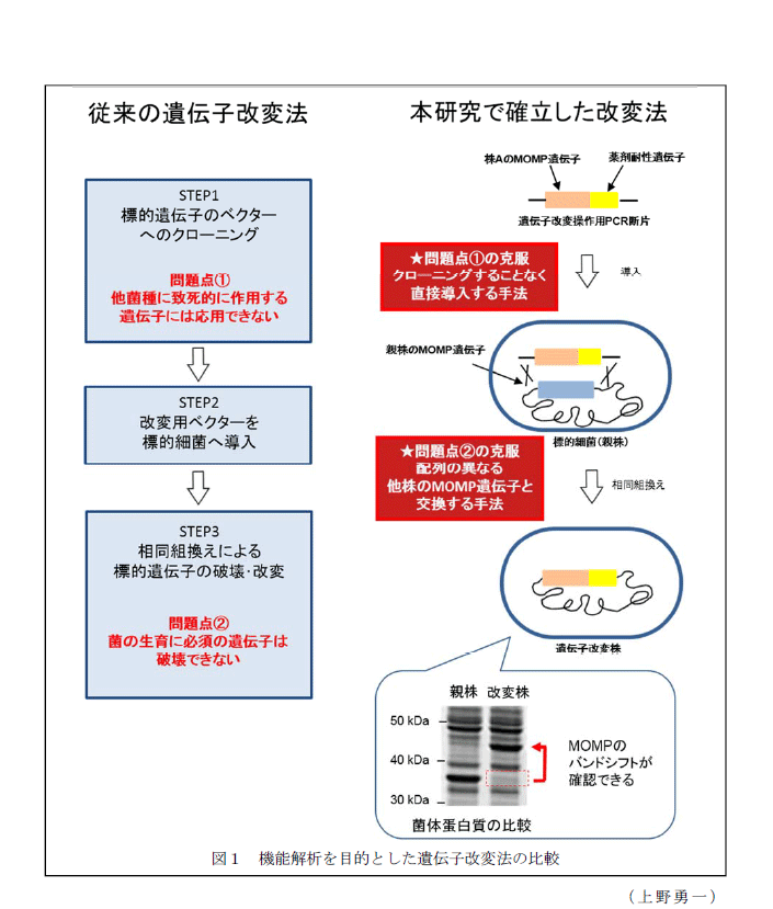 図1