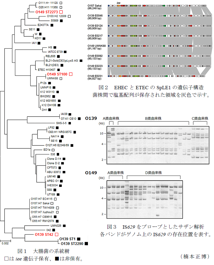 図1～3