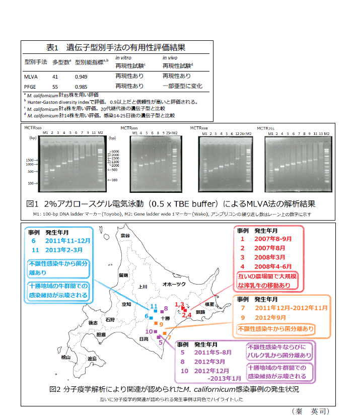 図1～2,表1