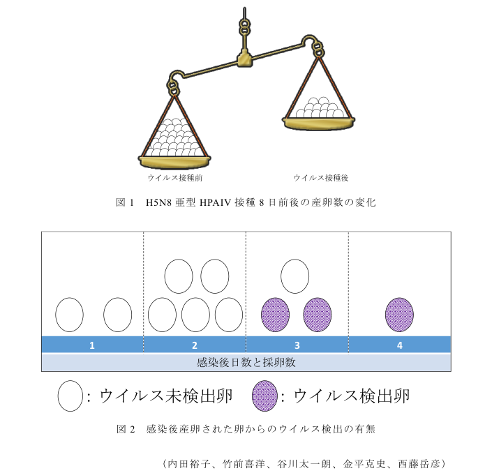 図1 H5N8亜型HPAIV接種8日前後の産卵数の変化?図2 感染後産卵された卵からのウイルス検出の有無