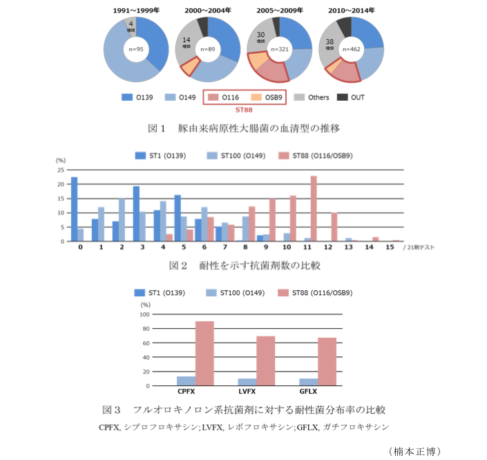 図1 豚由来病原性大腸菌の血清型の推移?図2 耐性を示す抗菌剤数の比較?図3 フルオロキノロン系抗菌剤に対する耐性菌分布率の比較