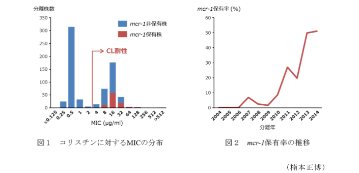 図1 コリスチンに対するMICの分布?図2 mcr-1保有率の推移