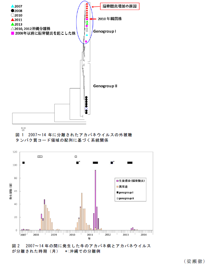 図1 2007～14年に分離されたアカバネウイルスの外被糖タンパク質コード領域の配列に基づく系統関係;図2  2007～14年の間に発生した牛のアカバネ病とアカバネウイルスが分離された時期(月) *:沖縄での分離例