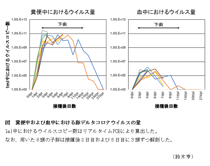 豚デルタコロナウイルスは豚に下痢を引き起こす病原体の一つである