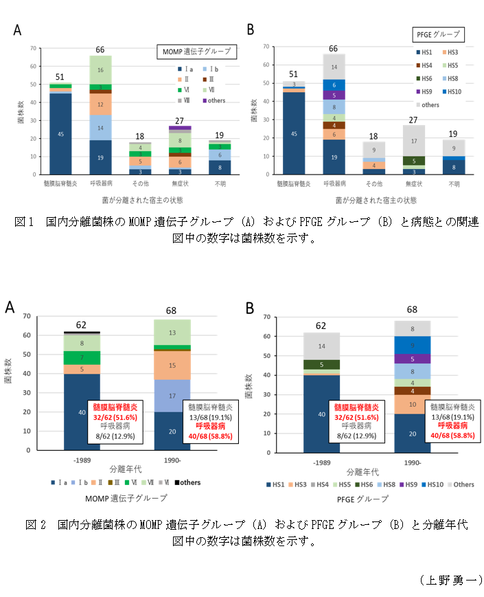 図1 国内分離菌株のMOMP遺伝子グループ(A)およびPFGEグループ(B)と病態との関連図中の数字は菌株数を示す。,図2 国内分離菌株のMOMP遺伝子グループ(A)およびPFGEグループ(B)と分離年代図中の数字は菌株数を示す。