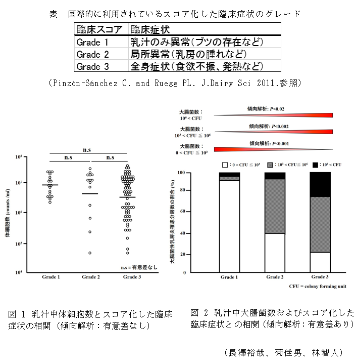 表 国際的に利用されているスコア化した臨床症状のグレード,図1 乳汁中体細胞数とスコア化した臨床症状の相関(傾向解析:有意差なし),図2 乳汁中大腸菌数およびスコア化した臨床症状との相関(傾向解析:有意差あり)