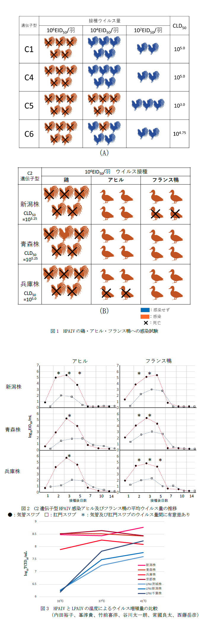 図1 HPAIVの鶏・アヒル・フランス鴨への感染試験,図2 C2遺伝子型HPAIV感染アヒル及びフランス鴨の平均ウイルス量の推移,図3 HPAIVとLPAIVの温度によるウイルス増殖量の比較