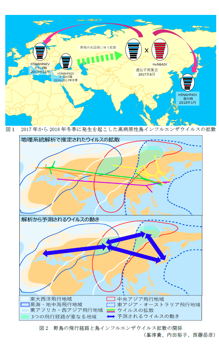 図1 2017年から2018年冬季に発生を起こした高病原性鳥インフルエンザウイルスの拡散,図2 野鳥の飛行経路と鳥インフルエンザウイルス拡散の関係