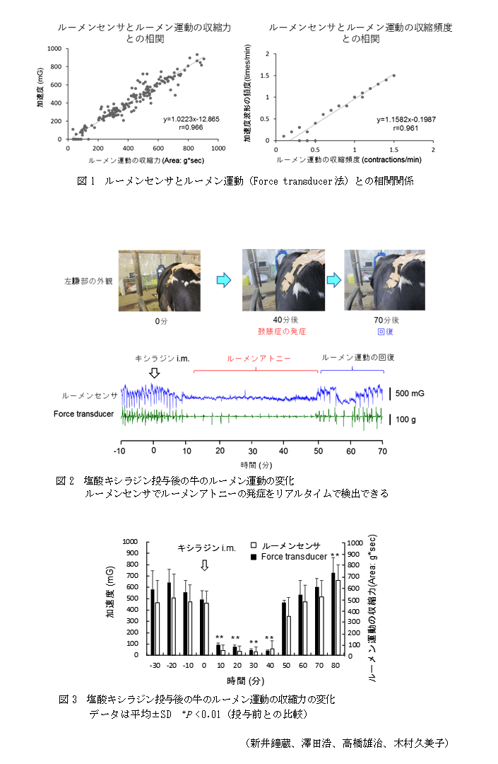 図1 ルーメンセンサとルーメン運動(Force transducer法)との相関関係,図2 塩酸キシラジン投与後の牛のルーメン運動の変化,図3 塩酸キシラジン投与後の牛のルーメン運動の収縮力の変化