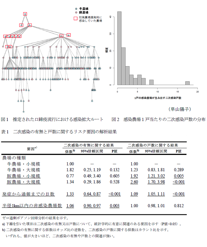 図1 推定された口蹄疫流行における感染拡大ルート,図2 感染農場1戸当たりの二次感染戸数の分布,表1 二次感染の有無と戸数に関するリスク要因の解析結果