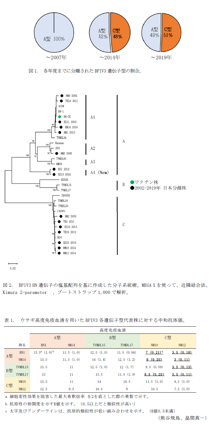 図1. 各年度までに分離されたBPIV3遺伝子型の割合。,図2. BPIV3 HN遺伝子の塩基配列を基に作成した分子系統樹。,表1. ウサギ高度免疫血清を用いたBPIV3各遺伝子型代表株に対する中和抗体価。