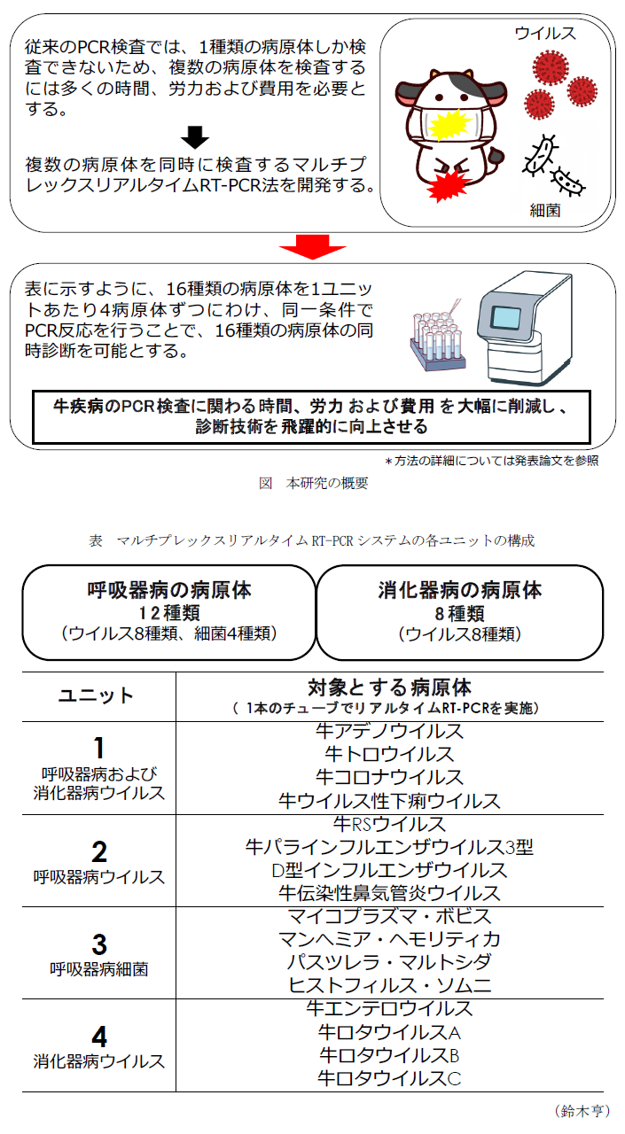 図 本研究の概要,表 マルチプレックスリアルタイムRT-PCRシステムの各ユニットの構成