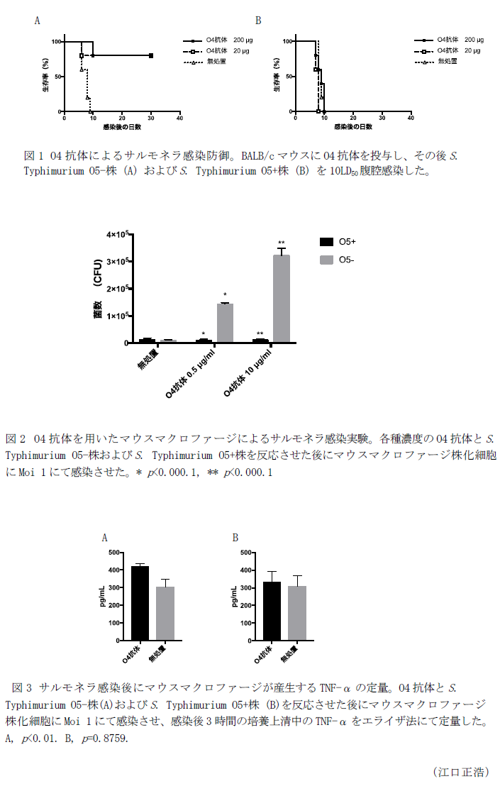 図1 O4抗体によるサルモネラ感染防御。,図2 O4抗体を用いたマウスマクロファージによるサルモネラ感染実験。,図3 サルモネラ感染後にマウスマクロファージが産生するTNF-αの定量。