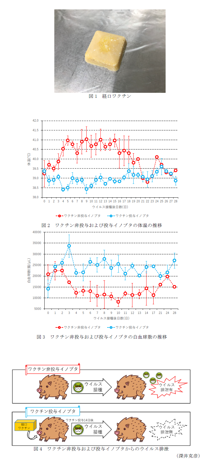 図1 経口ワクチン,図2 ワクチン非投与および投与イノブタの体温の推移,図3 ワクチン非投与および投与イノブタの白血球数の推移,図4 ワクチン非投与および投与イノブタからのウイルス排泄