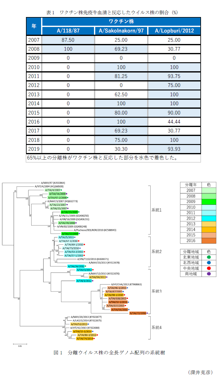 表1 ワクチン株免疫牛血清と反応したウイルス株の割合(%),図1 分離ウイルス株の全長ゲノム配列の系統樹