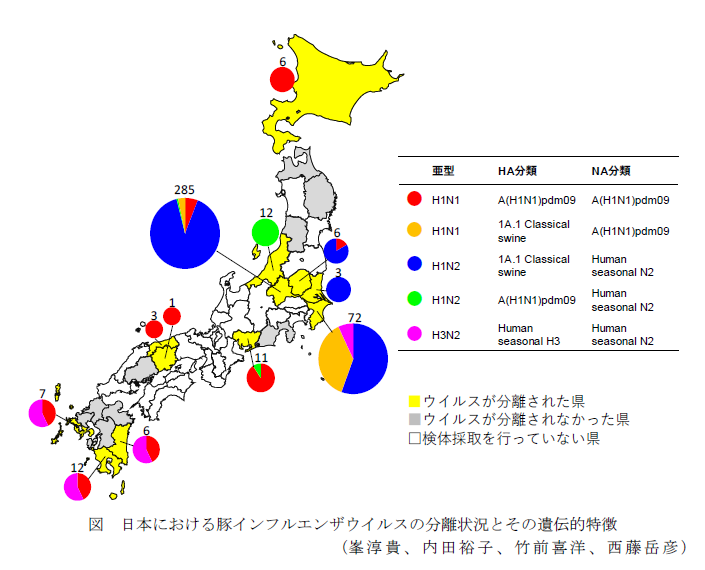 図 日本における豚インフルエンザウイルスの分離状況とその遺伝的特徴