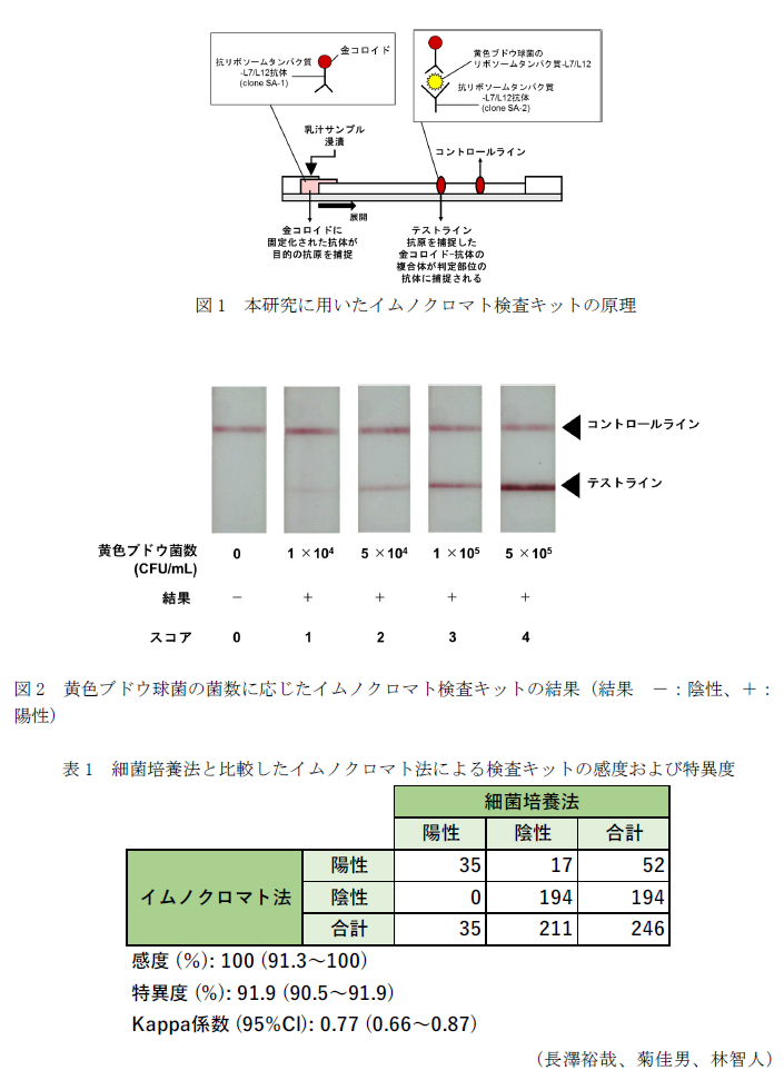 図1 本研究に用いたイムノクロマト検査キットの原理,図2 黄色ブドウ球菌の菌数に応じたイムノクロマト検査キットの結果(結果 -:陰性、+:陽性),表1 細菌培養法と比較したイムノクロマト法による検査キットの感度および特異度