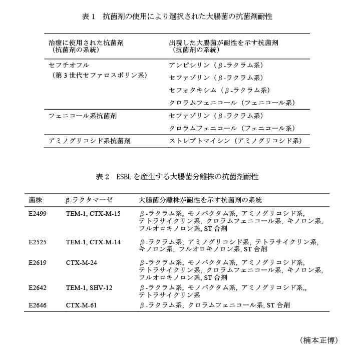 表1 抗菌剤の使用により選択された大腸菌の抗菌剤耐性,表2 ESBLを産生する大腸菌分離株の抗菌剤耐性
