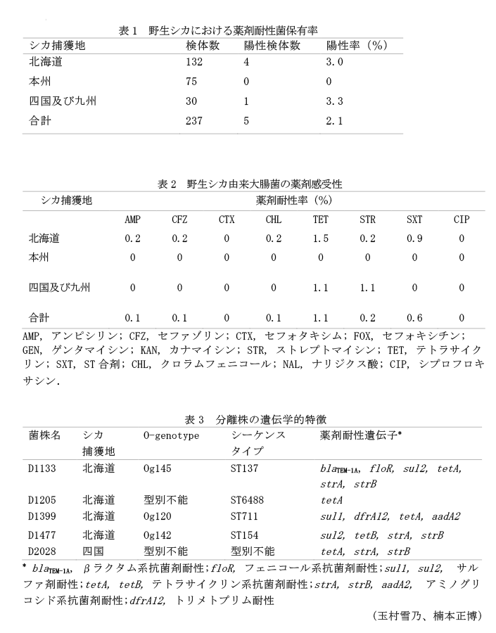 表1 野生シカにおける薬剤耐性菌保有率,表2 野生シカ由来大腸菌の薬剤感受性,表3 分離株の遺伝学的特徴