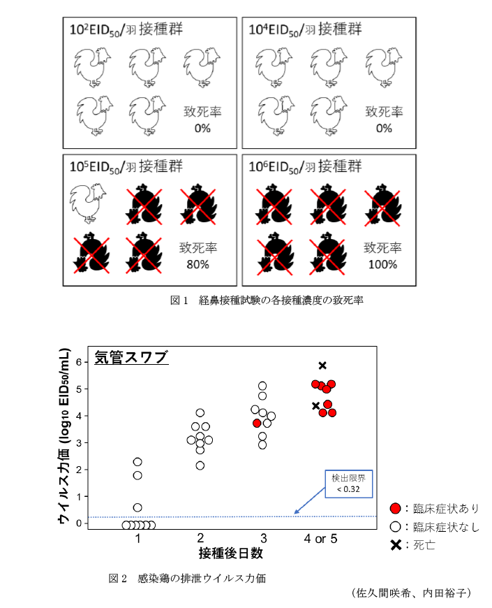 図1 経鼻接種試験の各接種濃度の致死率,図2 感染鶏の排泄ウイルス力価