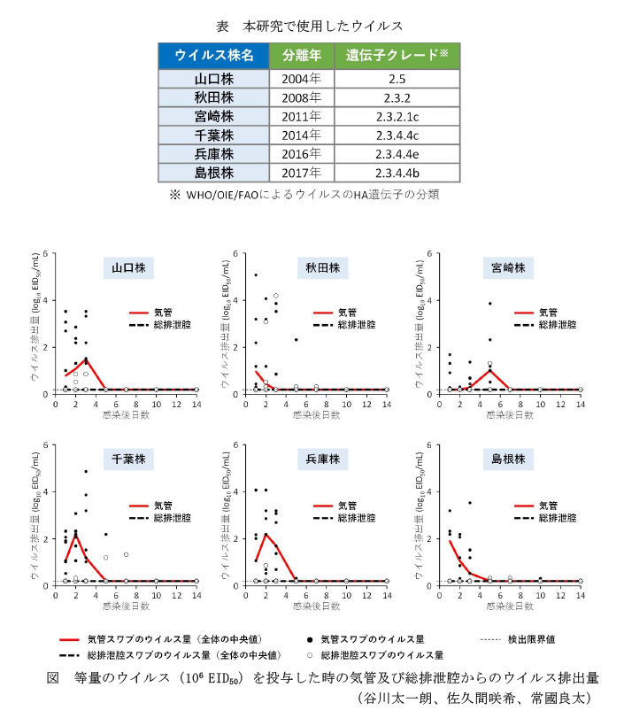 表 本研究で使用したウイルス,図 等量のウイルス(106 EID50)を投与した時の気管及び総排泄腔からのウイルス排出量