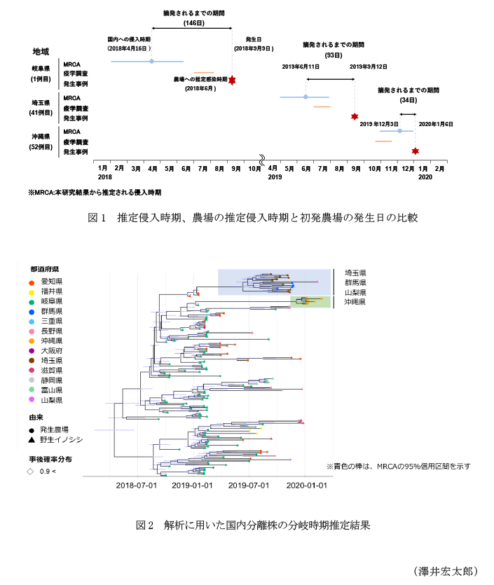 図1 推定侵入時期、農場の推定侵入時期と初発農場の発生日の比較,図2 解析に用いた国内分離株の分岐時期推定結果