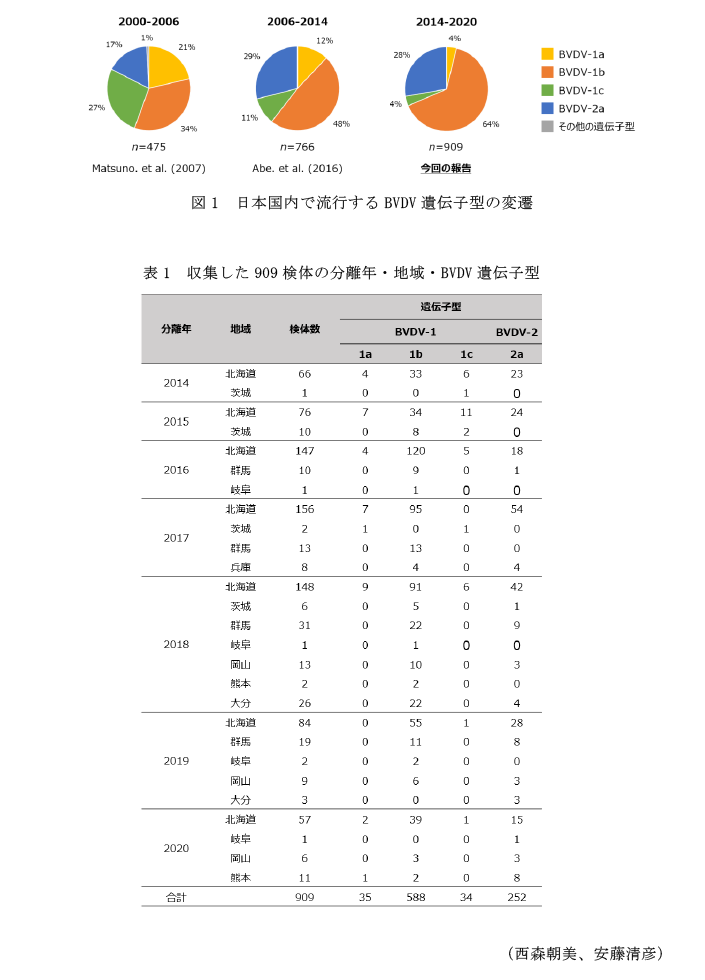 図1 日本国内で流行するBVDV遺伝子型の変遷,図1 日本国内で流行するBVDV遺伝子型の変遷