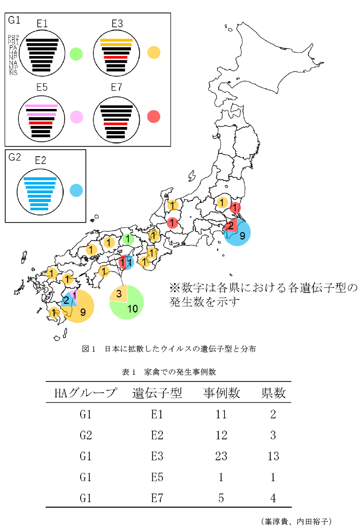 図1 日本に拡散したウイルスの遺伝子型と分布,表1 家禽での発生事例数
