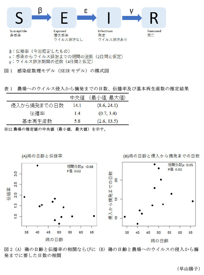 図1 感染症数理モデル(SEIRモデル)の模式図,表1 農場へのウイルス侵入から摘発までの日数、伝播率及び基本再生産数の推定結果,図2(A)鶏の日齢と伝播率の相関ならびに(B)鶏の日齢と農場へのウイルスの侵入から摘発までに要した日数の相関