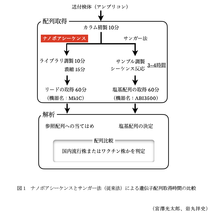 図1 ナノポアシーケンスとサンガー法(従来法)による遺伝子配列取得時間の比較