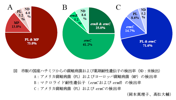 図 市販の国産ハチミツからの腐蛆病菌および薬剤耐性遺伝子の検出率(ND:未検出)