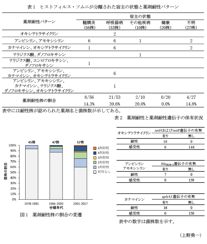 表1 ヒストフィルス・ソムニが分離された宿主の状態と薬剤耐性パターン,図1 薬剤耐性株の割合の変遷,表2 薬剤耐性と薬剤耐性遺伝子の保有状況